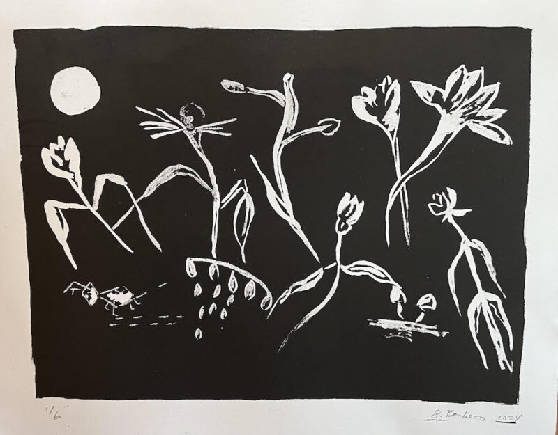 Black and white lithograph of a garden.